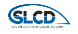 Logo SLCD
